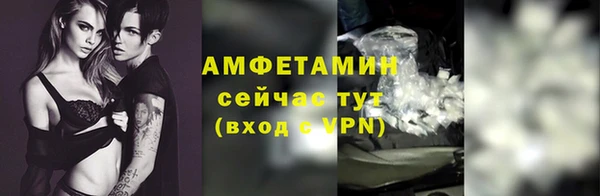 apvp Иннополис