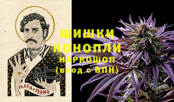 apvp Иннополис