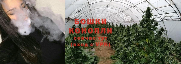 каннабис Инта