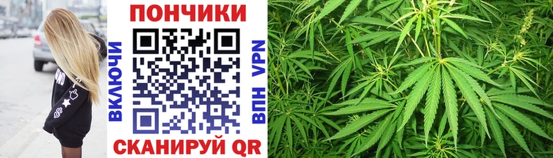 Купить  Игарка  Канабис план 